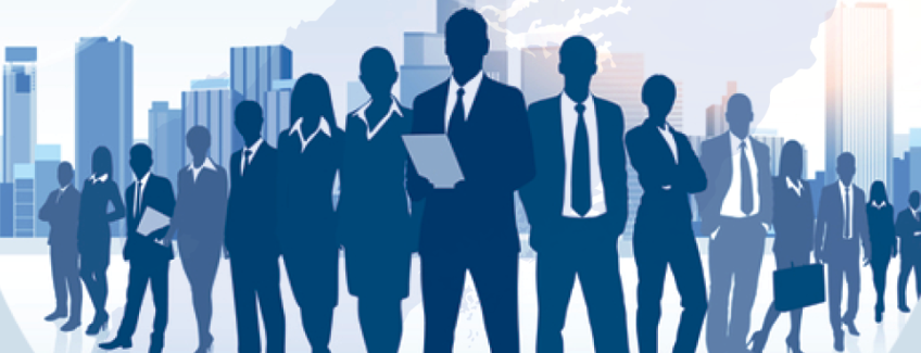 Biases of an incidental Executive