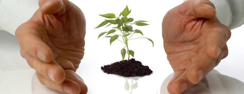 How to nurture good culture, part 2