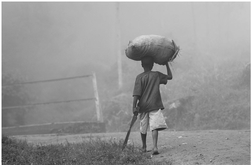 Is Agriculture a priority in economic transformation?