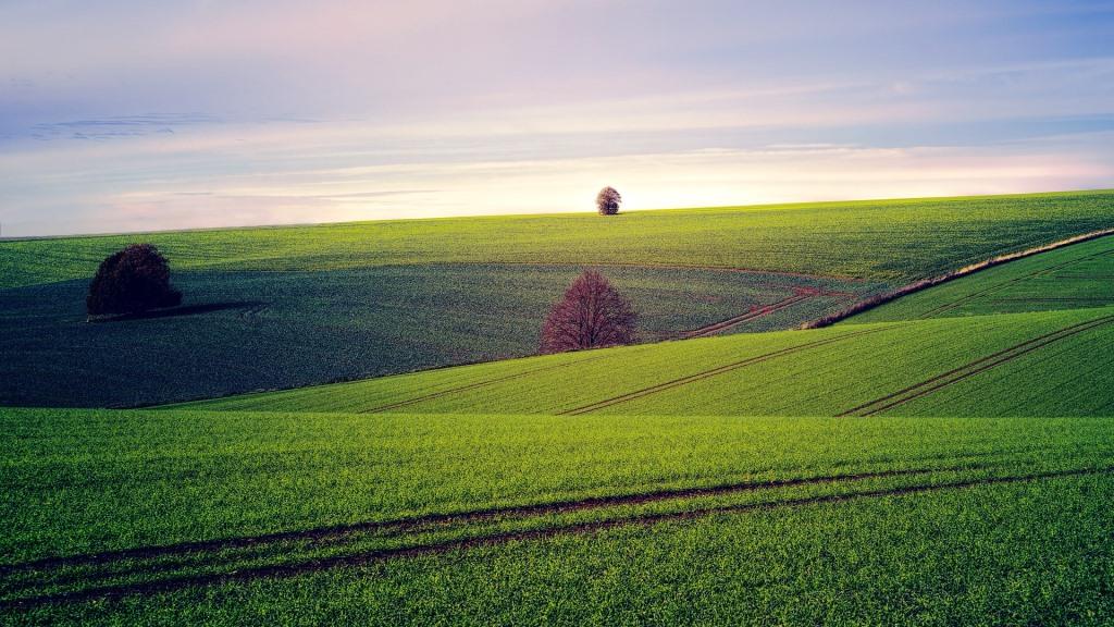 Land valuation fraud: are you safe?
