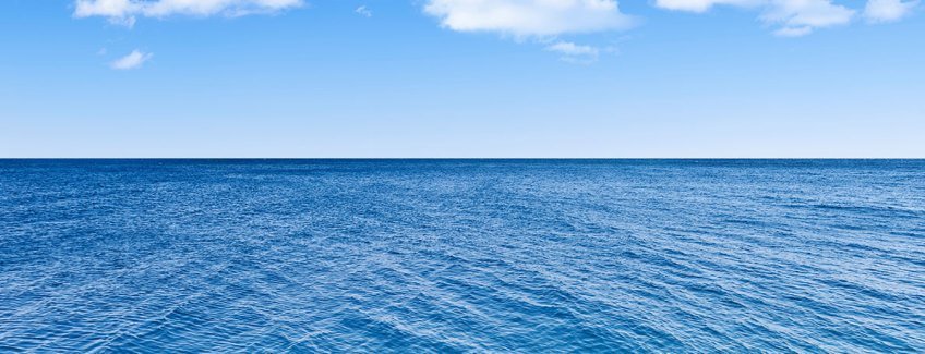Why your NFPO needs to create a blue ocean?