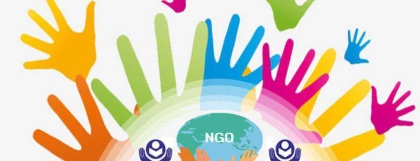 The NGO of the future: The Six Pillars of NGO Sustainability