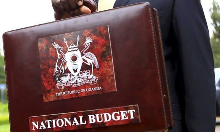 Opportunities in the FY2025/26 budget. Tree and the machete, finding your path through Uganda’s FY2025/26 budget jungle (Part 2)
