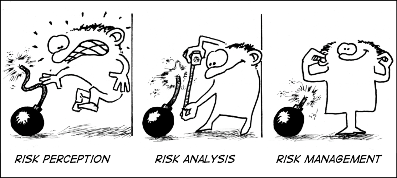 Risk champions for effective ERM implementation