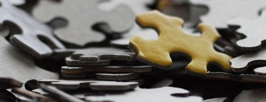 Specialisation Vs generalisation. What does great look like?