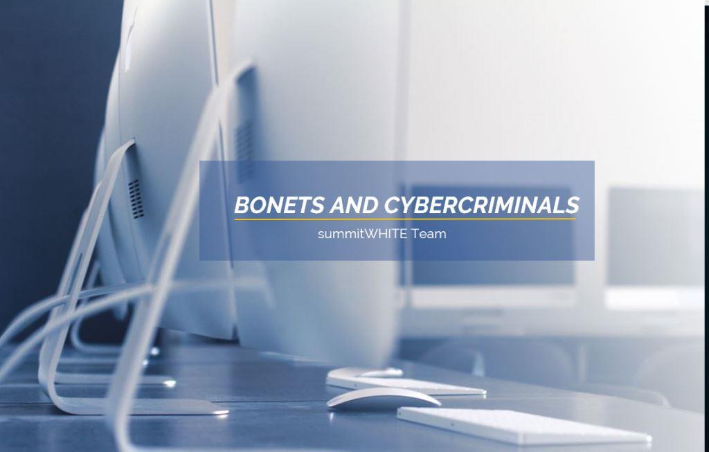 The impact of Bots/Botnets on Cyber Security