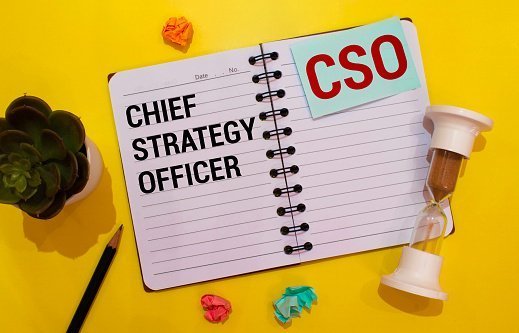 What exactly is the role of the Chief Strategy Officer