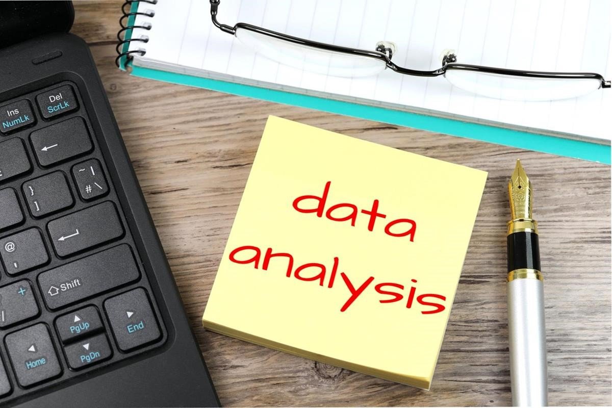 Why every professional now needs basic data skills the uncomfortable truth boards keep overlooking