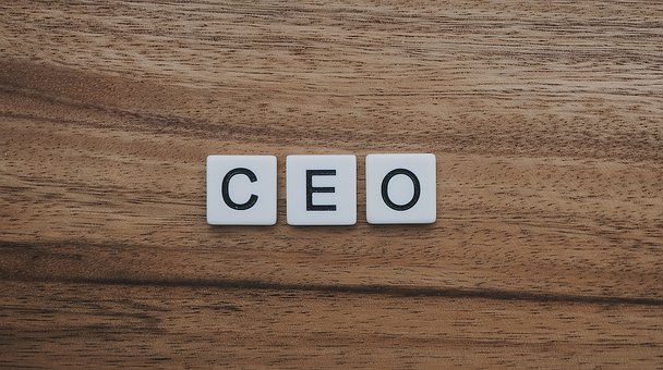 You are a new CEO: Which advice would you take?