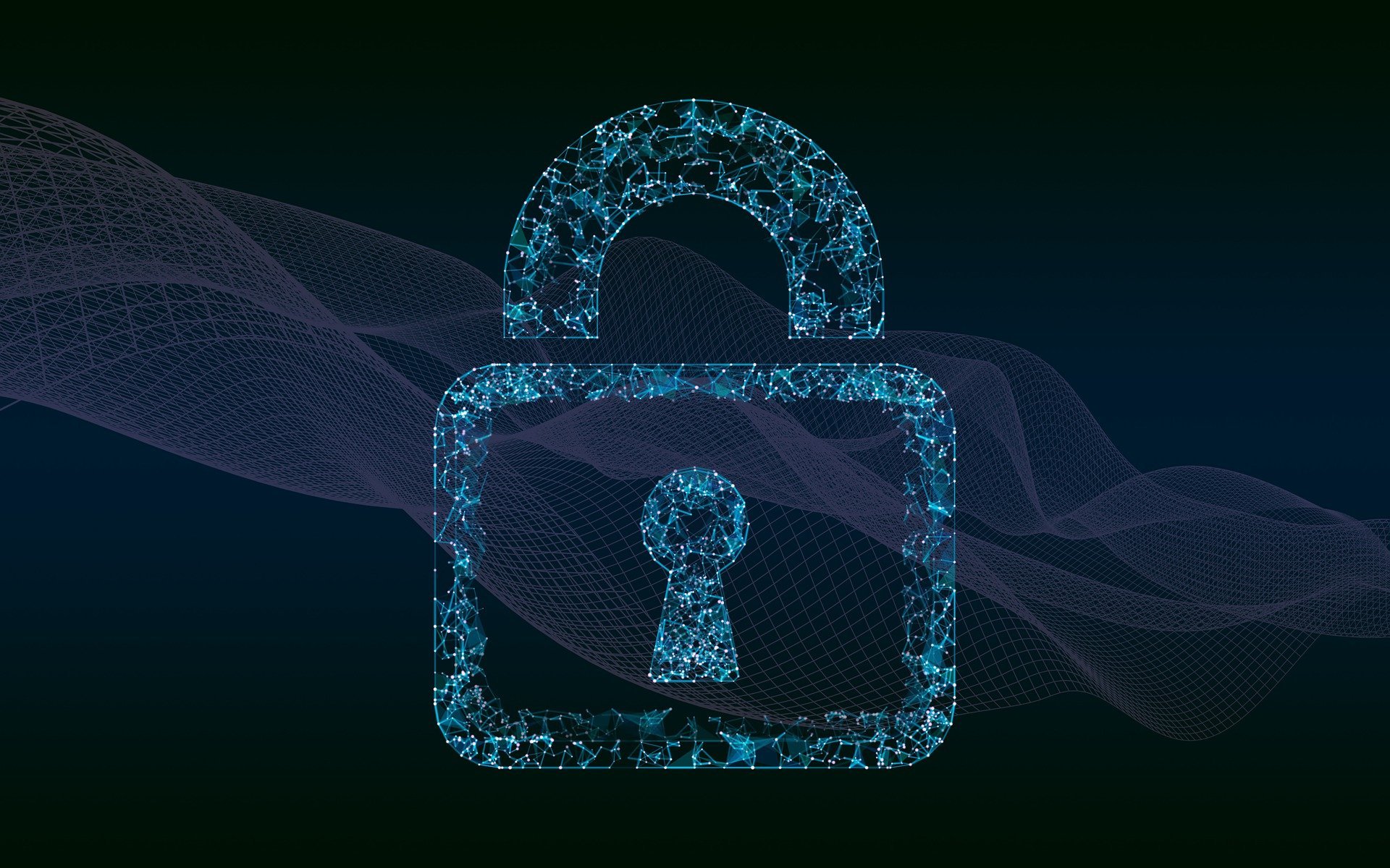 White Box Penetration Testing