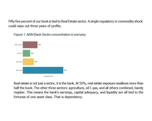 ABM Bank Board Briefing Paper_1